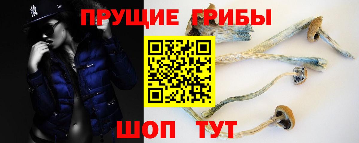 Нефтеюганск  Псилоцибиновые грибы прущие грибы  Вход с VPN 